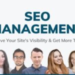 Wordpress SEO Service